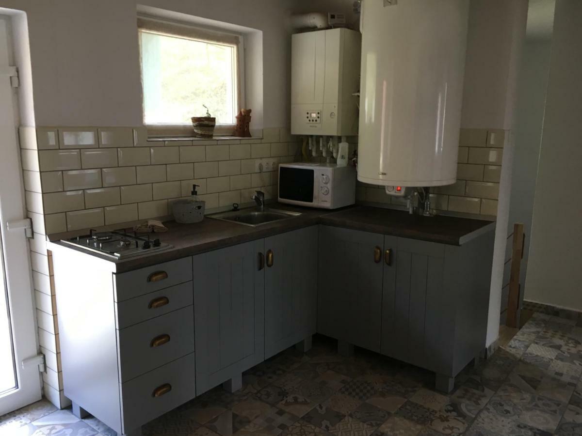 مبيت وإفطار بايلي توشناد Casa Karola Haz المظهر الخارجي الصورة